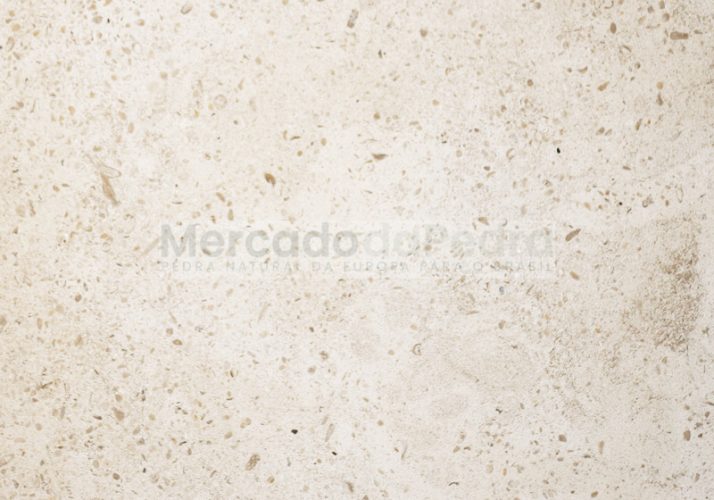 Cabeça de Veada - médio
