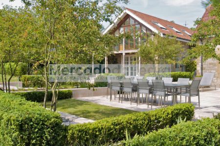 Moleanos